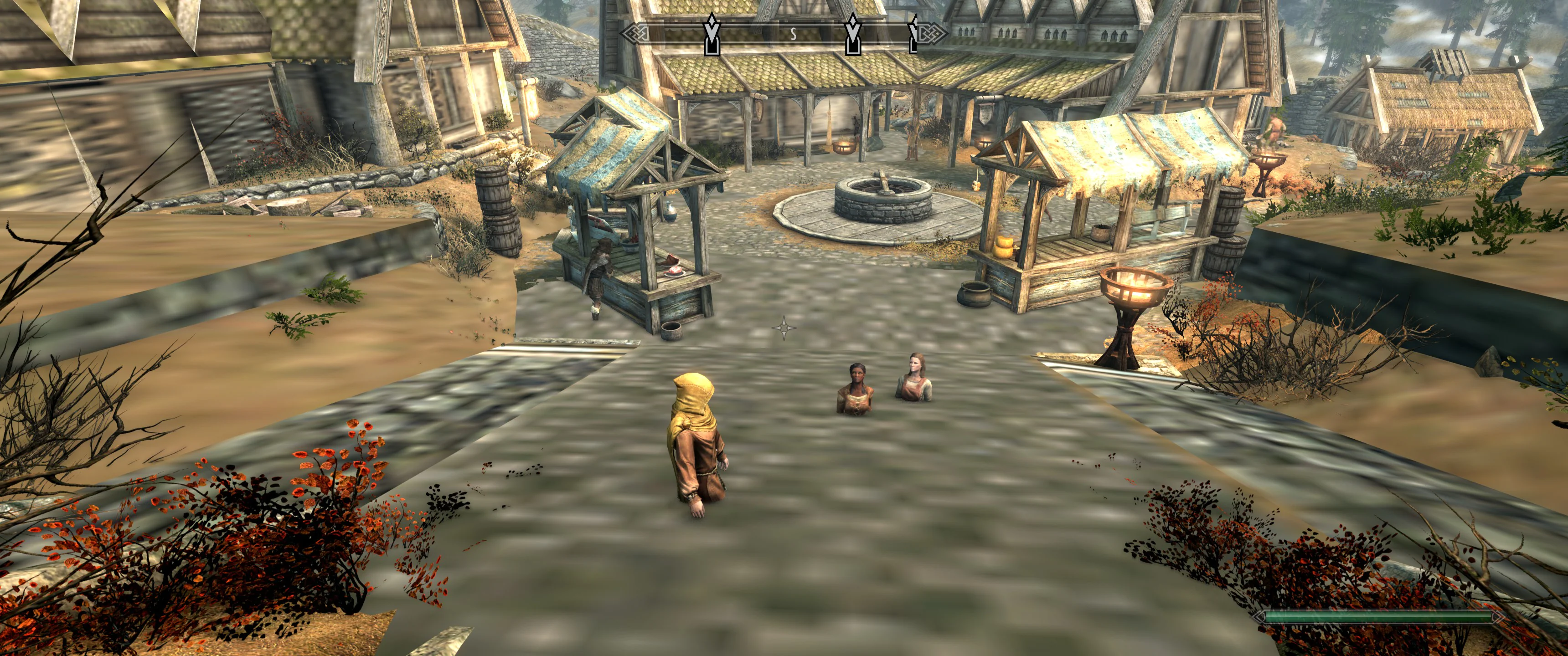 It just wouldn't be a Bethesda game without a few of these.